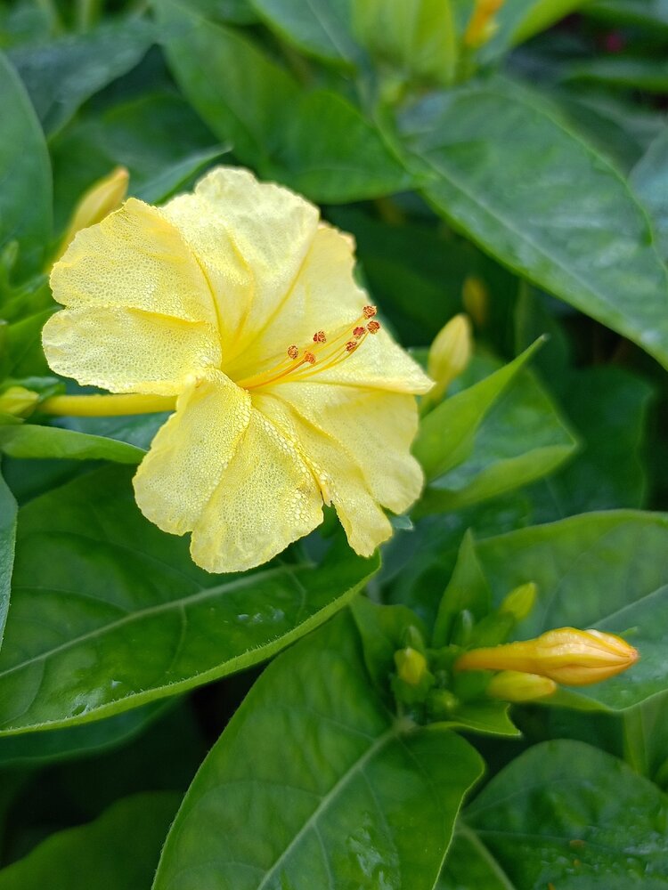Photograph by Елена Чернякова