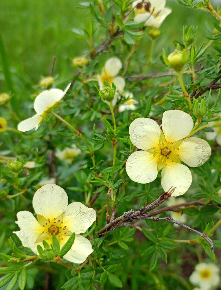 Photograph by Елена Чернякова