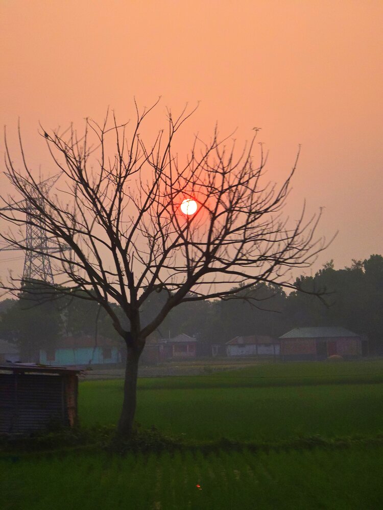 Photograph by Moon Moon Hossain