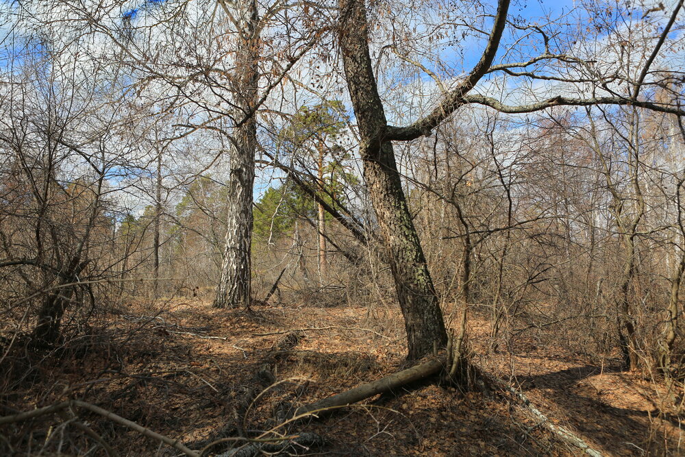 Photograph by Ирина Сушко