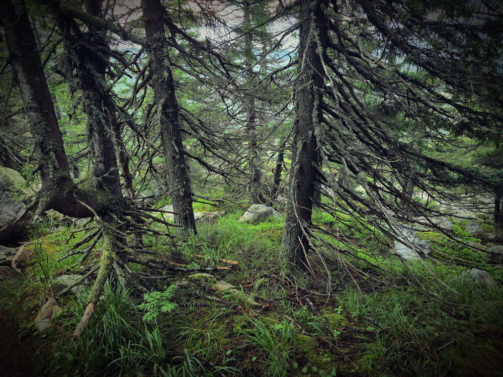 Photograph by Ирина Сушко