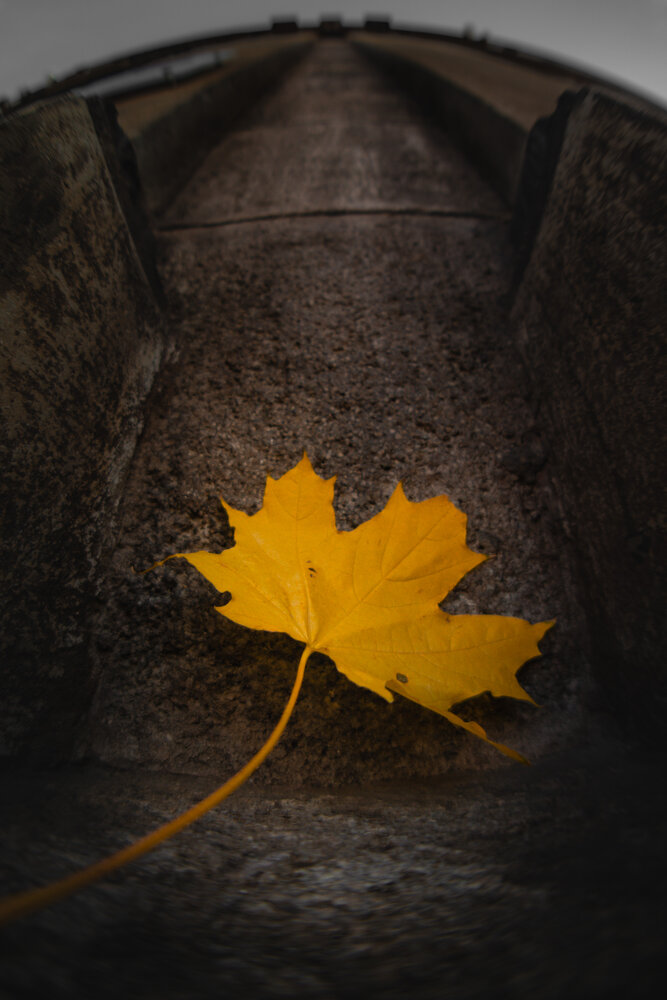 Photograph by Андрей Петренко