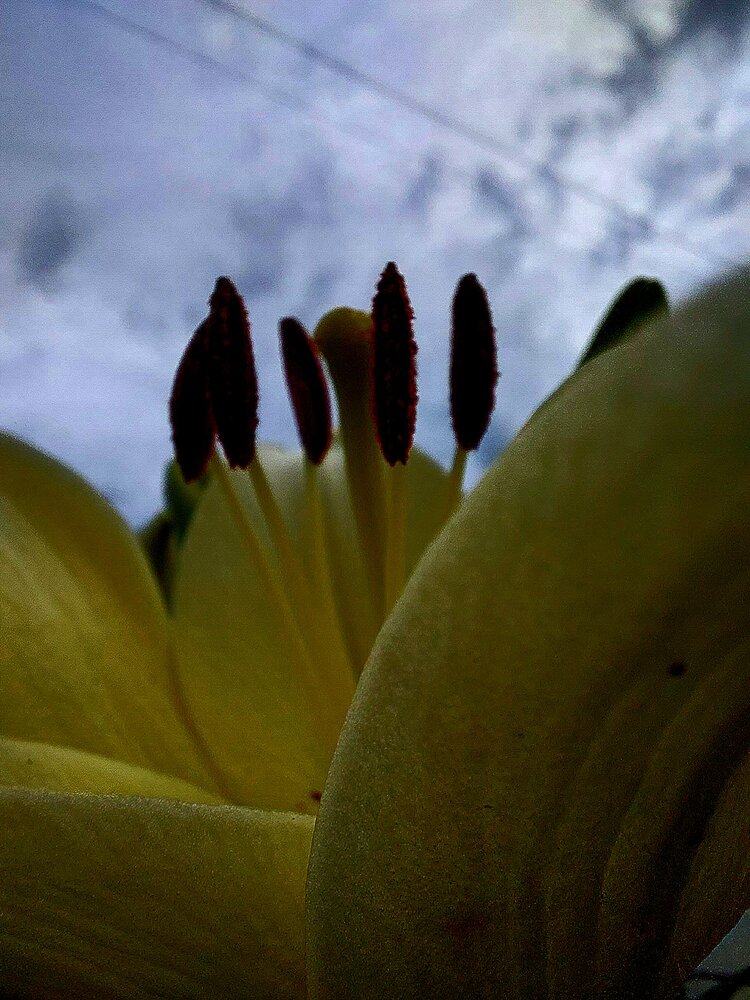 Photograph by Natali Crys