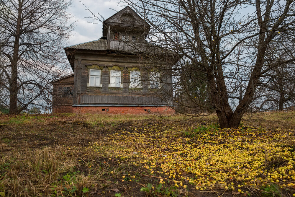 Photograph by Константин Пухов