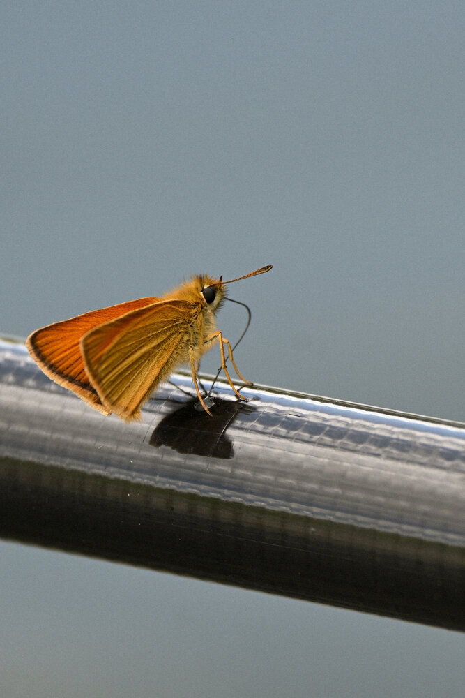 Photograph by Анна Морозова