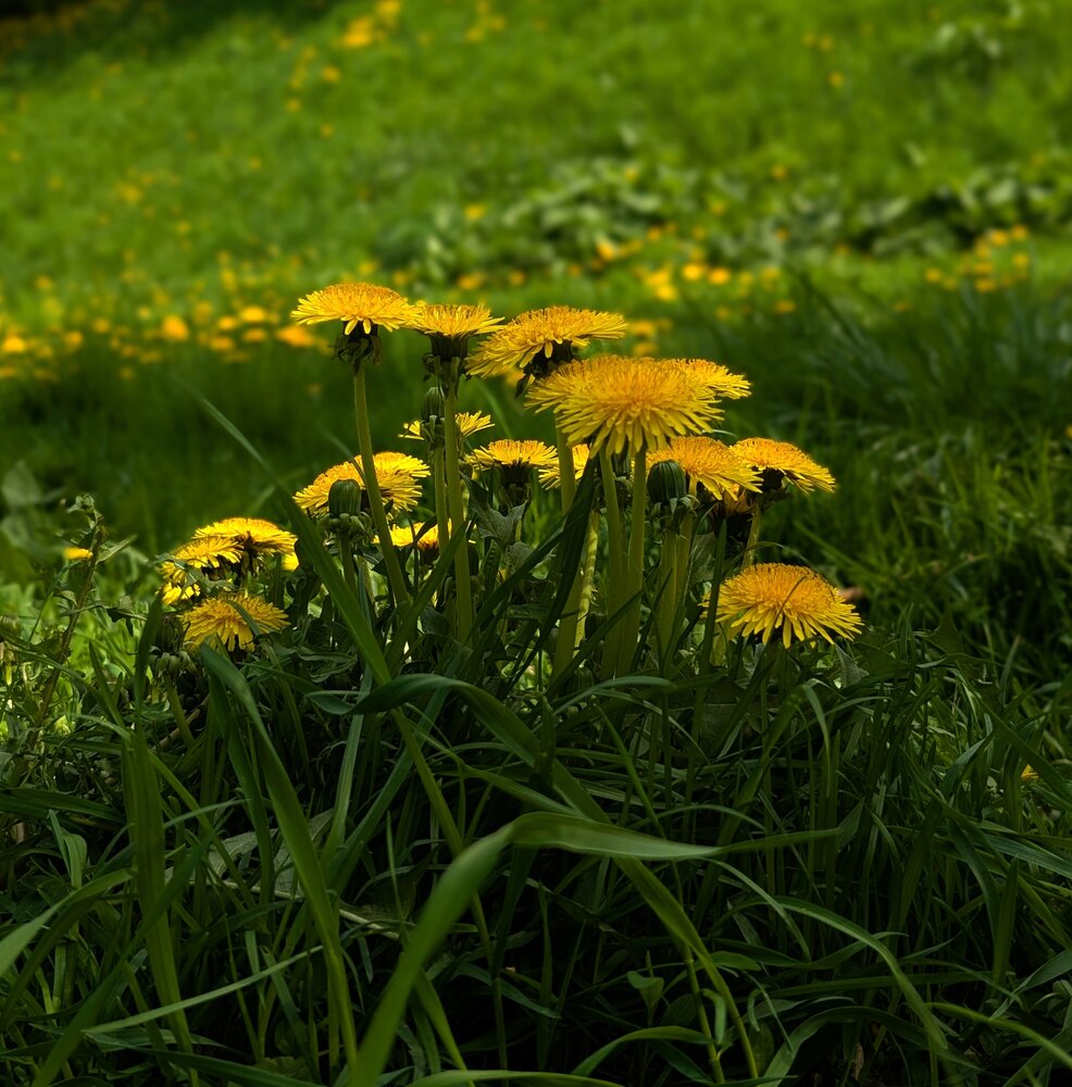 Photograph by Олег Башкуров