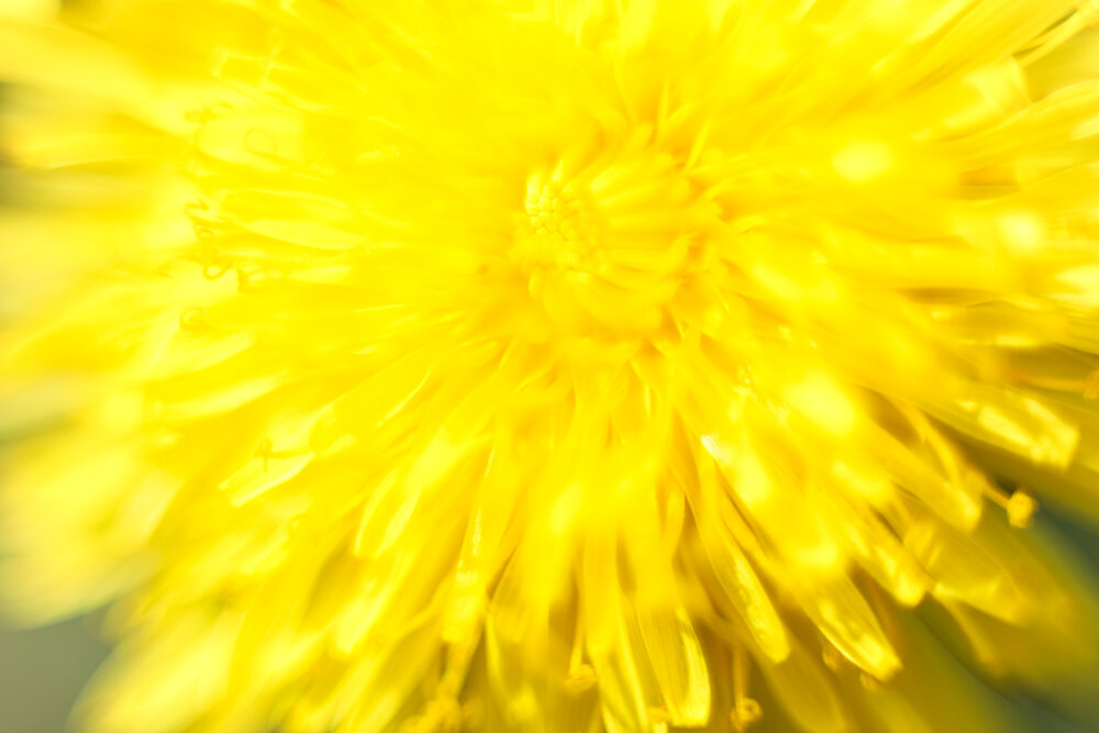 Photograph by Ирина Иванова