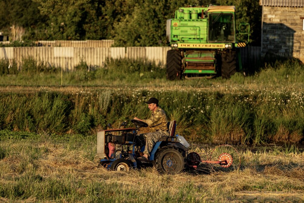 Photograph by Ирина Бабич
