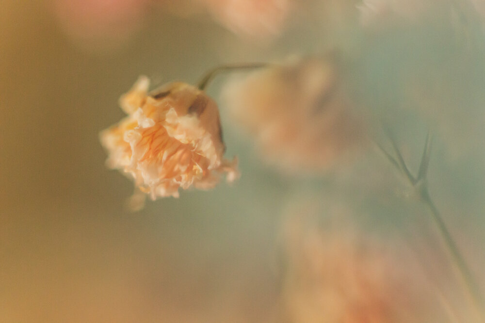 Photograph by Ирина Иванова