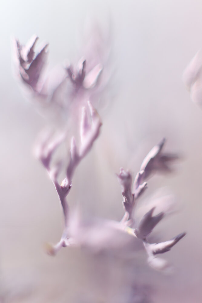 Photograph by Ирина Иванова