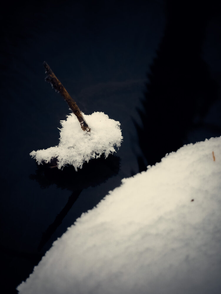 Photograph by Сергей Забиякин