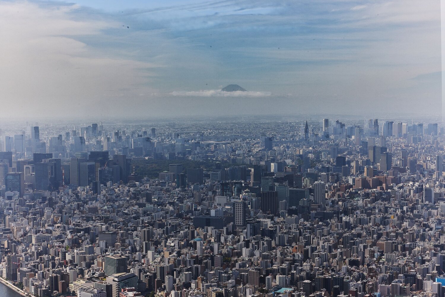 Photo #13815833