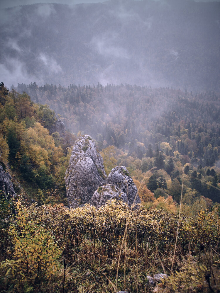 Photo #13815887