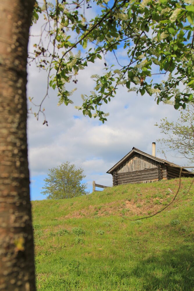 Photograph by Виктория Хмара