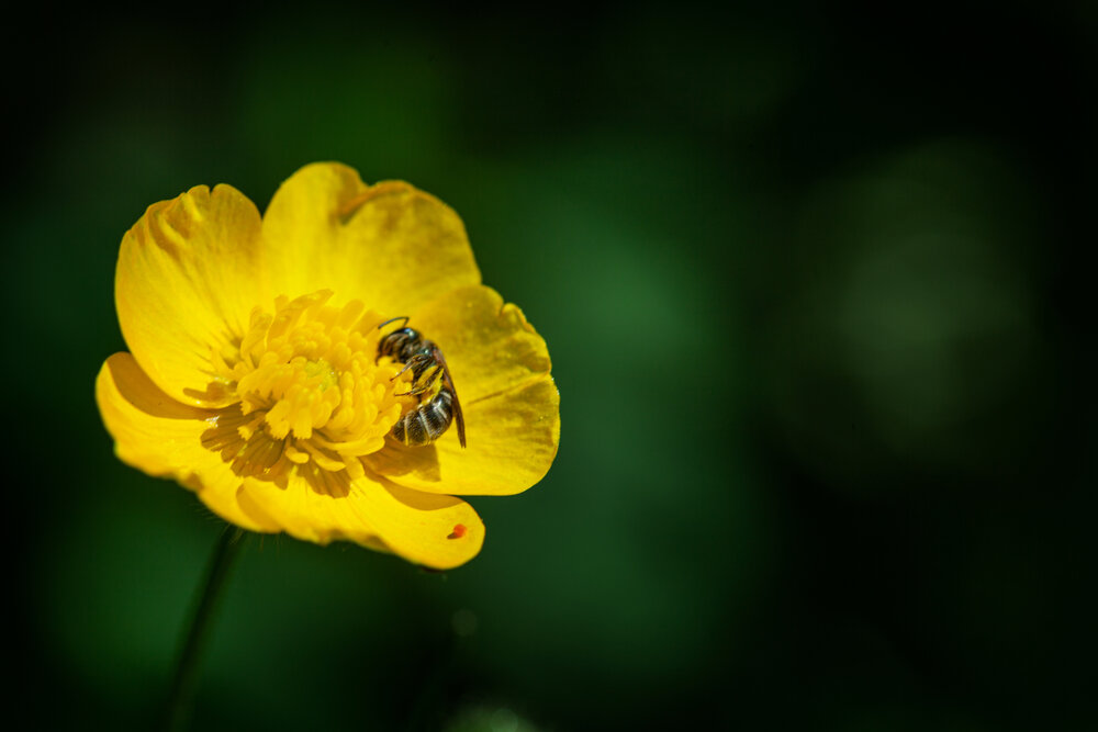 Photograph by Денис Дорошенко