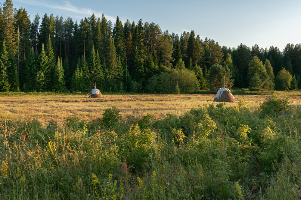 Photograph by Олег Малетин