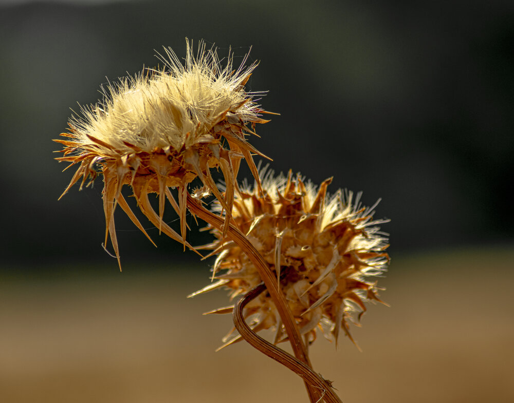 Photograph by Vitalii Kaznin