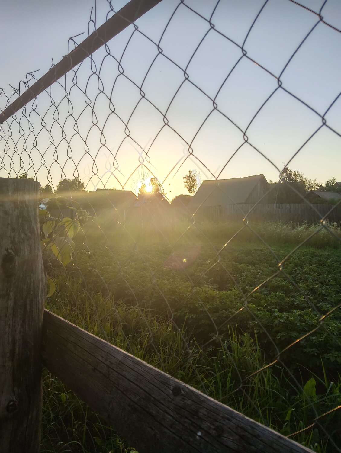 Photo #13815980
