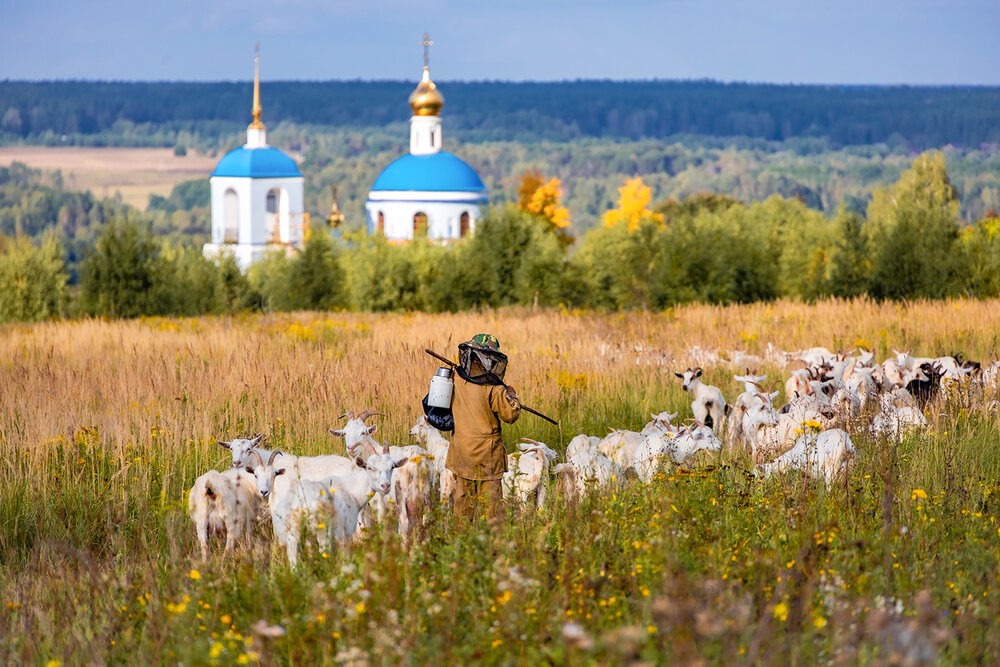 Photograph by Алексей Окунеев