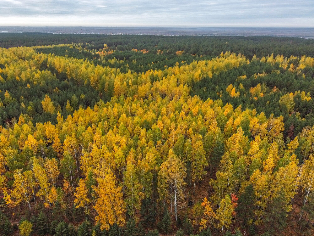 Photograph by АНДРЕЙ АБАКУМОВ