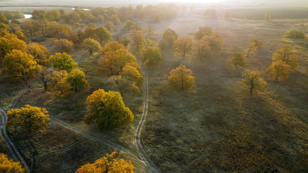 Photograph by АНДРЕЙ АБАКУМОВ