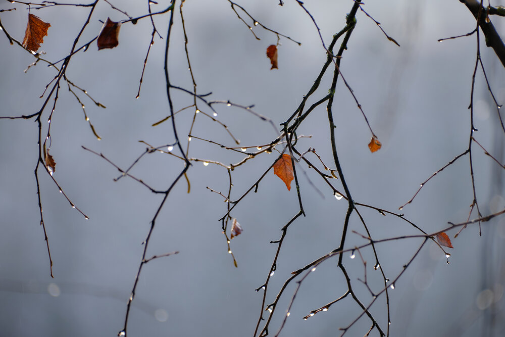 Photograph by Василий Арлашов