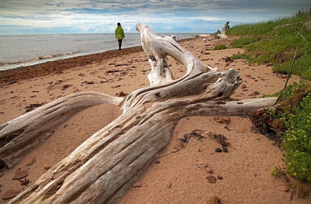 Photograph by Борис Чернов