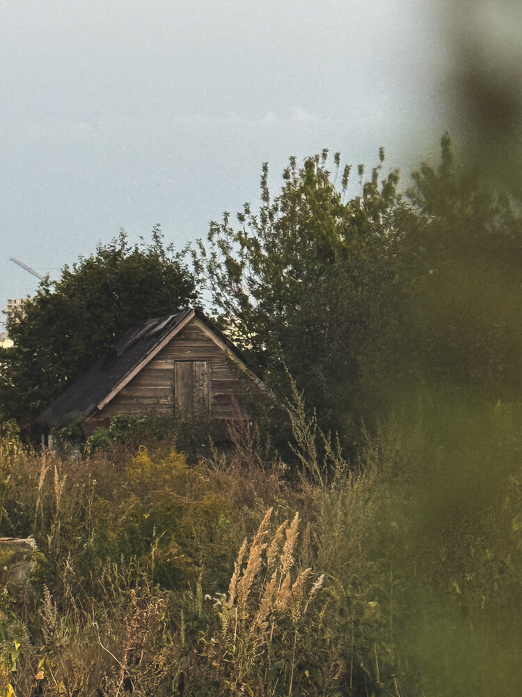 Photograph by Татьяна Цапкова