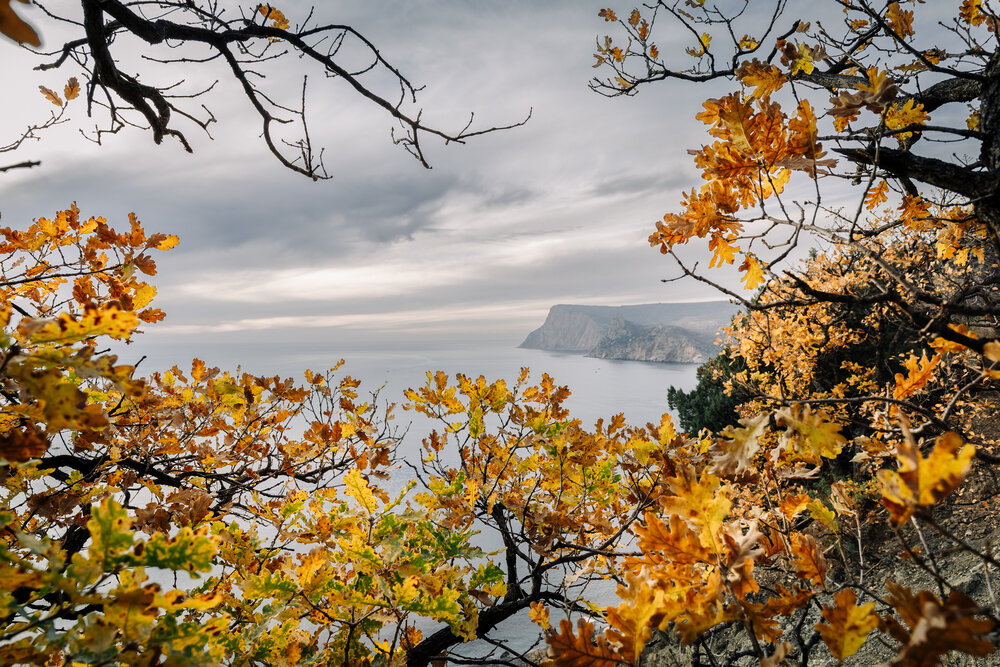 Photograph by Андрей Котенко