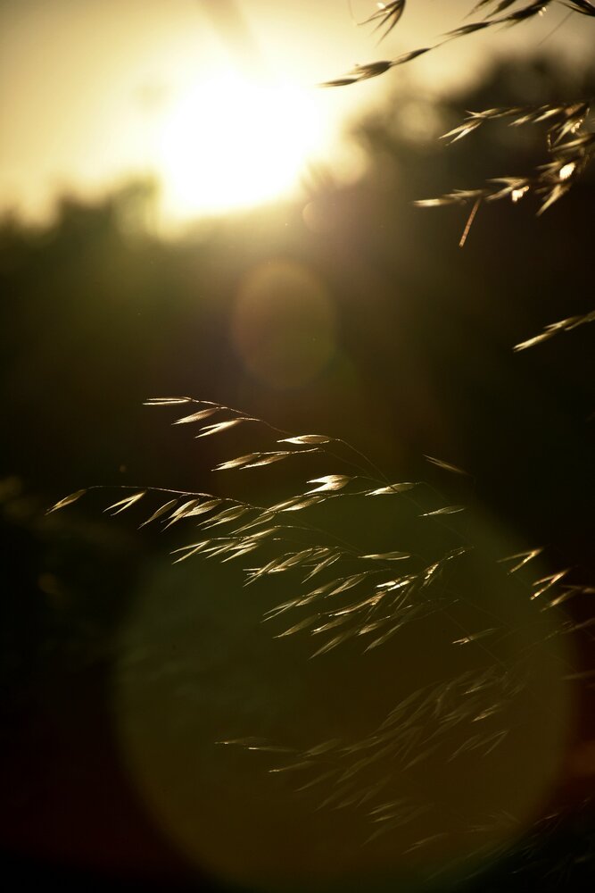 Photograph by Никита Невзоров