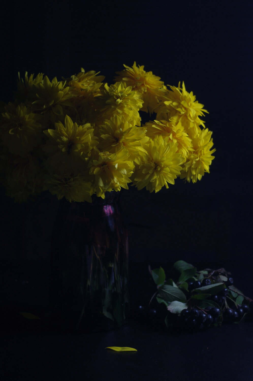 Photo #13816325
