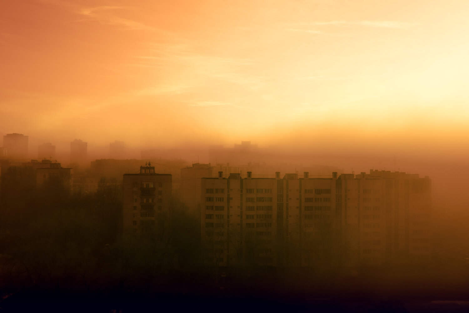 Photo #13816335
