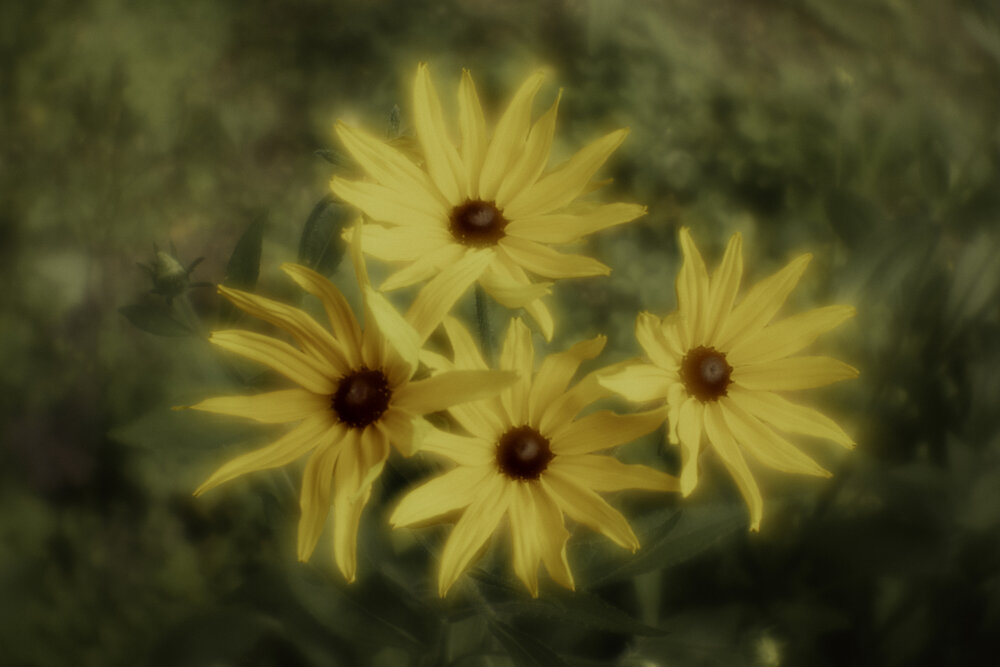 Photograph by Оksana Seregina