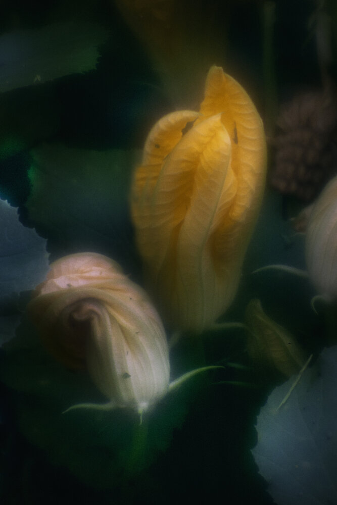 Photograph by Оksana Seregina