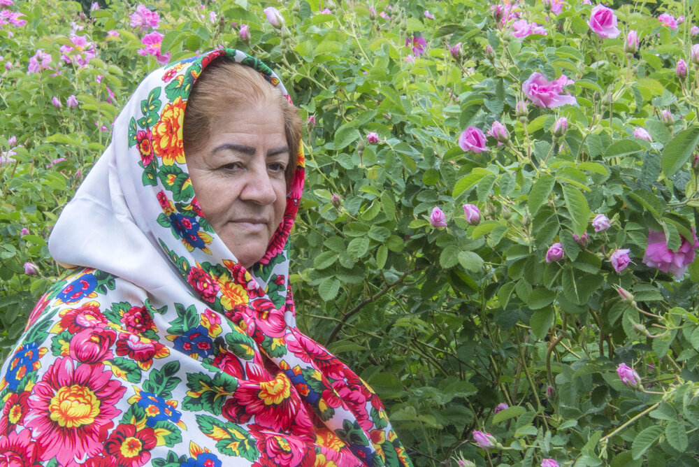 Фотография автора Ghadir Vaghari
