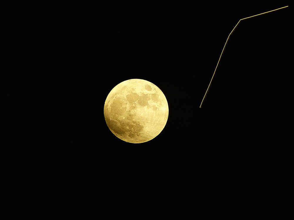 Photograph by Elvira Oleinik