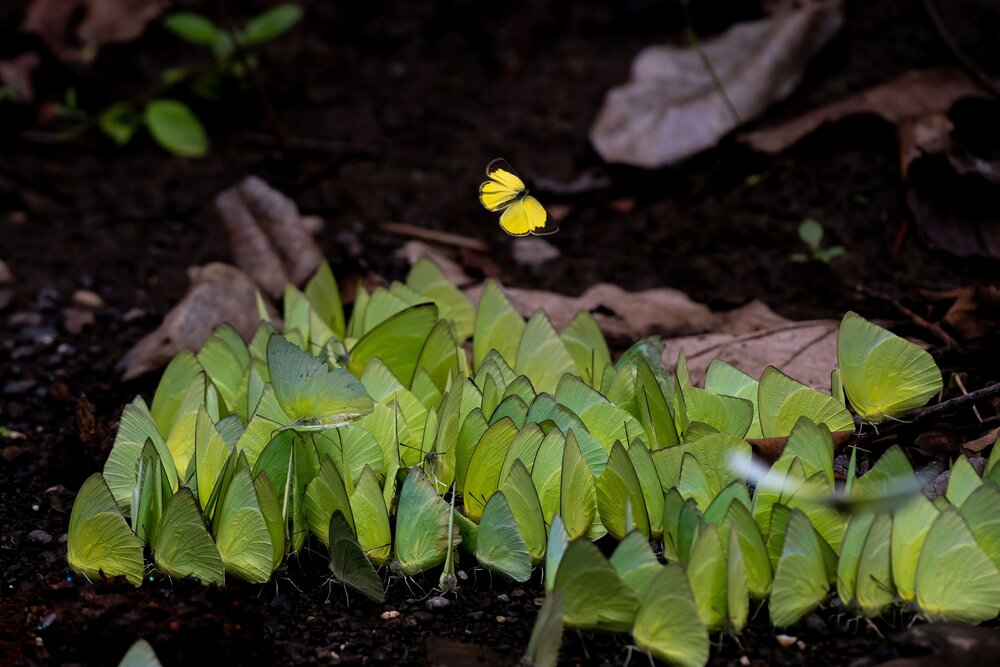 Photograph by Chaitanya Dudhalkar