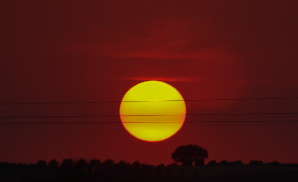 Photograph by Francisco Ferreira