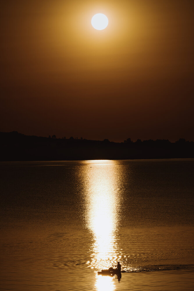Photograph by Alex Reedson