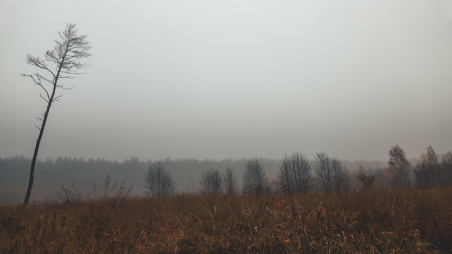 Photo #13816538