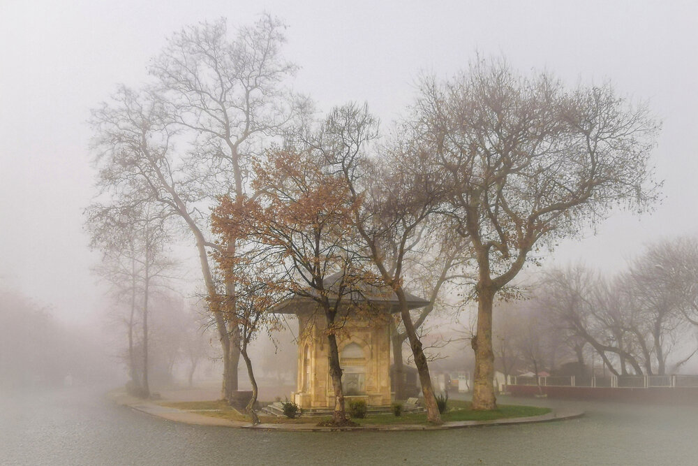 Photograph by hasan karakaş