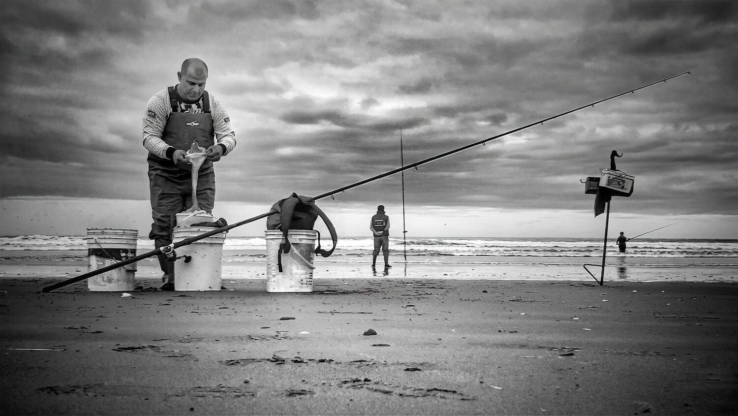 Photo #13816579