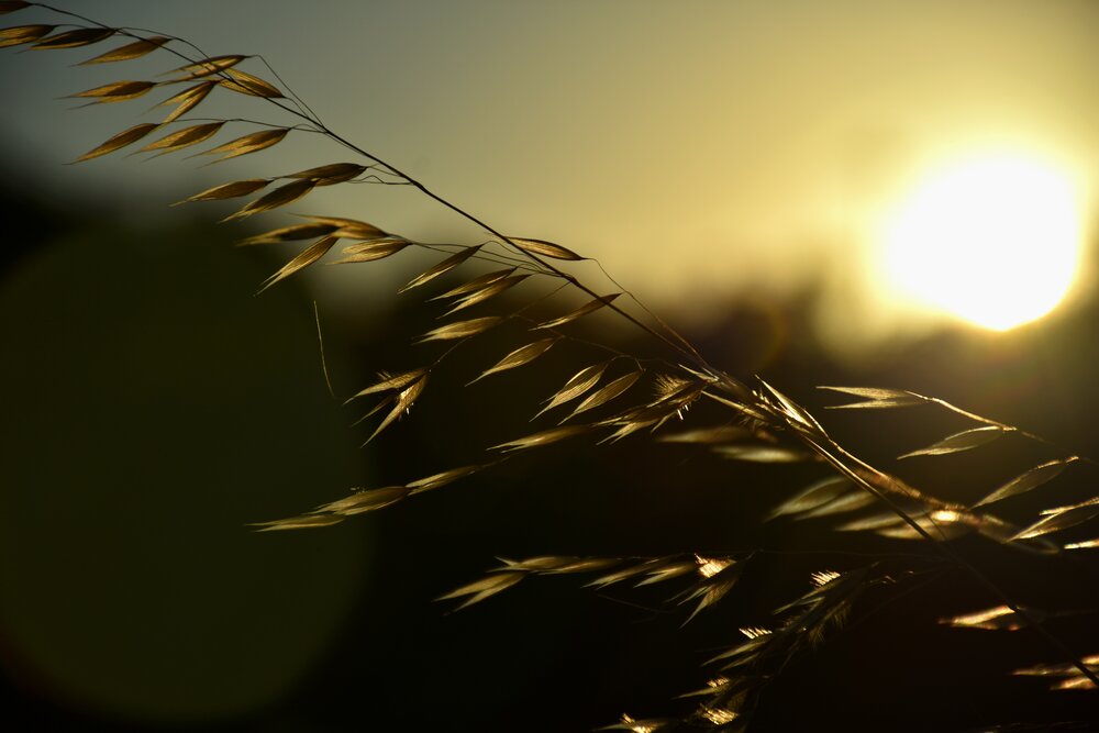 Photograph by Никита Невзоров
