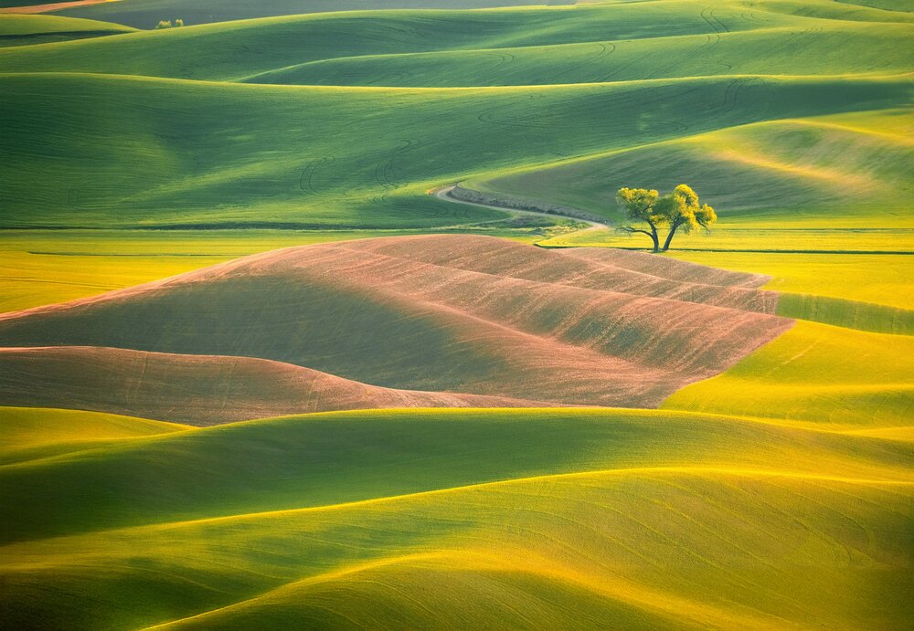 Photograph by Marina Poushkina