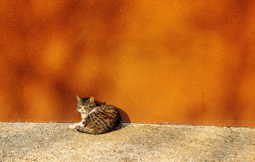 Photograph by Дмитрий Бровко