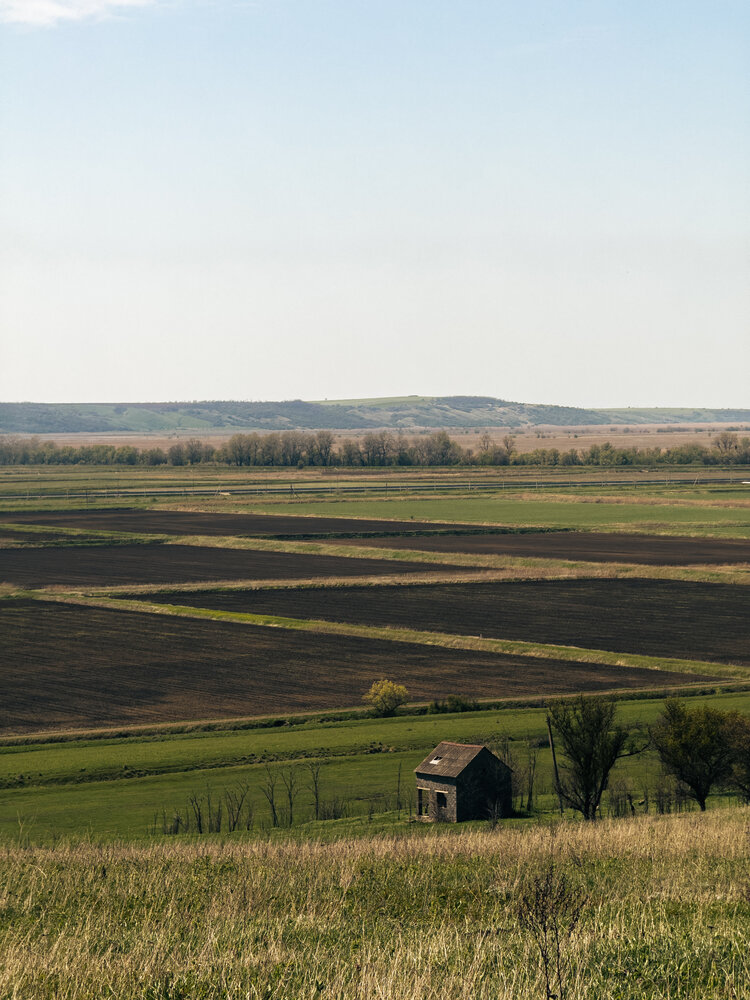 Photograph by Анна Голубцова