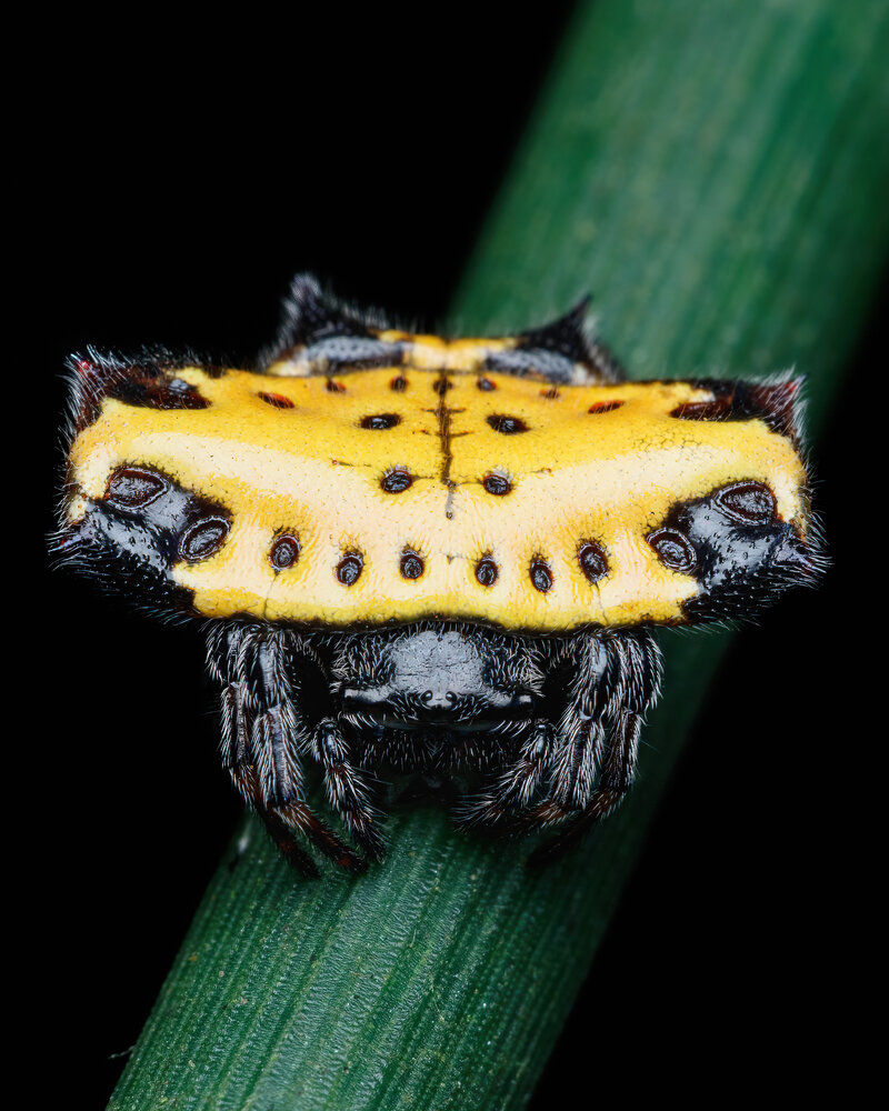 Photograph by Cassius Cardoso