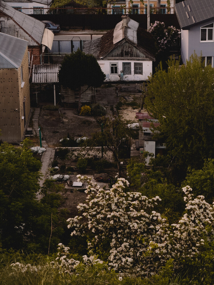 Photograph by Анна Голубцова