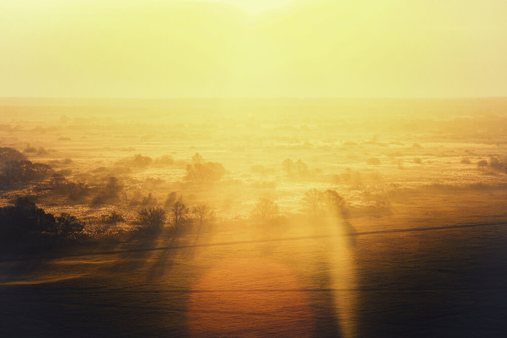 Photograph by Bogdan Tarasov