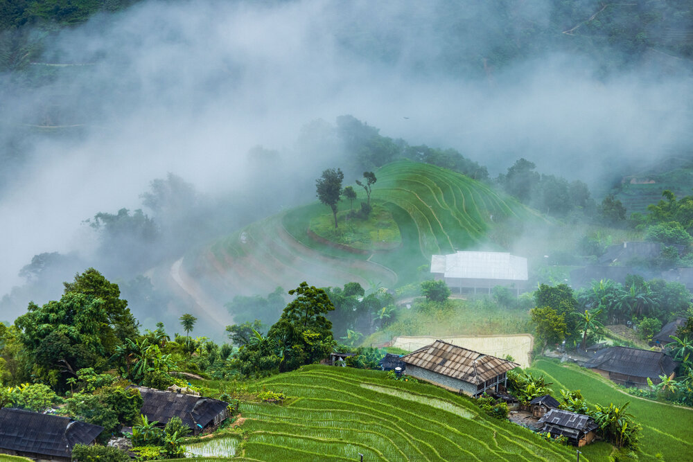 Фотография автора QUAN NGUYEN HUNG